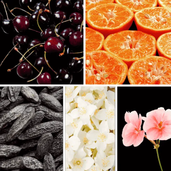 Duftnoten: Kirsche, Mandarine, Tonakabohne, Jasmin, Geranie Duftnoten: Kirsche, Mandarine, Tonakabohne, Jasmin, Geranie