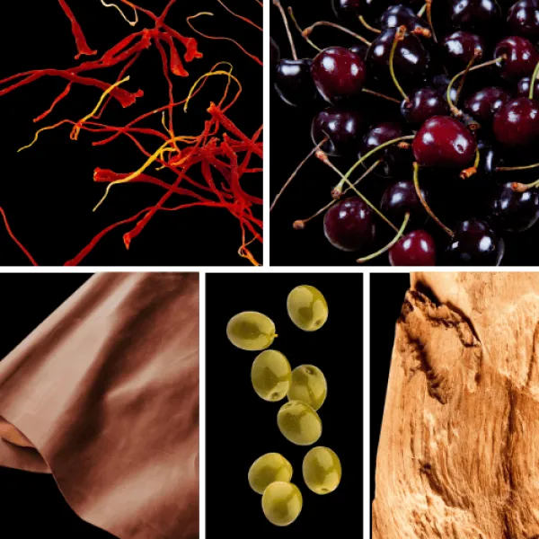 Duftnoten: Safran, dunkle Kirschen, Leder, Olive, holzige Noten