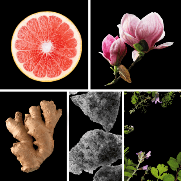 Duftnoten: Grapefruit, Magnolie, Ingwer, Moschus, Kräuternoten
