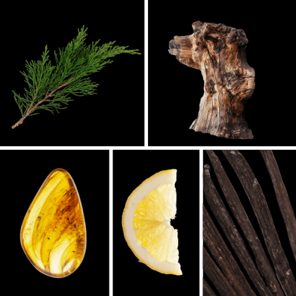 Duftnoten: Zypresse, Eichenholz, Amber, Zitrone, Vanille