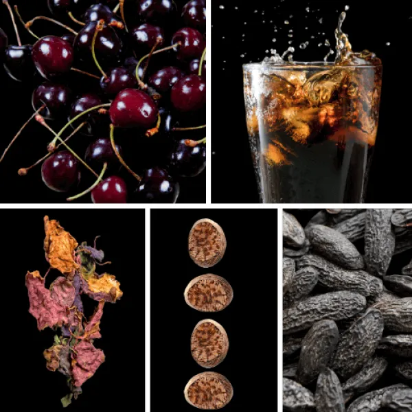 Duftnoten: schwarze Kirsche, Cola-Noten, Patschuli, Muskatnuss, Tonkabohne Duftnoten: schwarze Kirsche, Cola-Noten, Patschuli, Muskatnuss, Tonkabohne