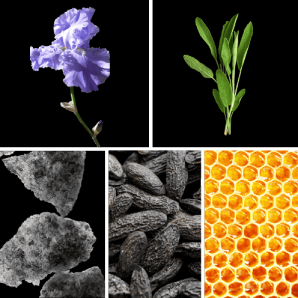 Duftnoten: Iris, Muskatellersalbei, Moschus, Tonkabohne, Bienenwachs