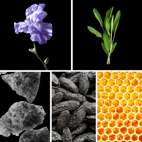Duftnoten: Iris, Muskatellersalbei, Moschus, Tonkabohne, Bienenwachs Duftnoten: Iris, Muskatellersalbei, Moschus, Tonkabohne, Bienenwachs