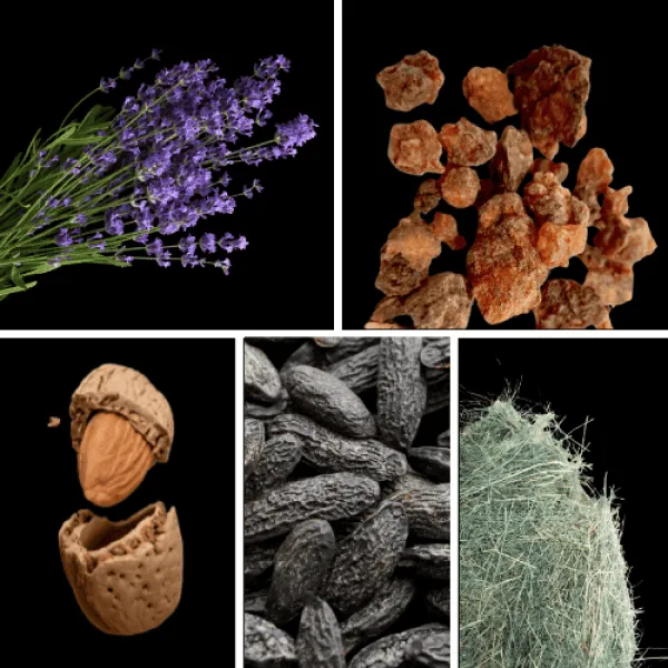 Duftnoten: Lavendel, Myrrhe, Mandel, Tonkabohne, Heu