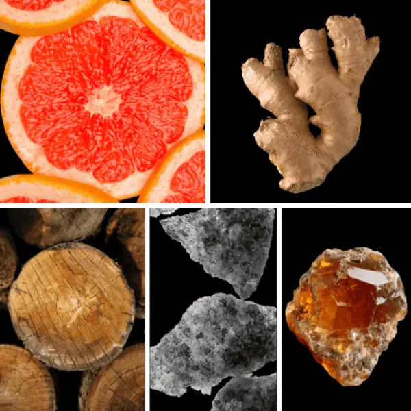 Duftnoten: Grapefruit, Ingwer, holzige Noten, Moschus, Ambroxan Duftnoten: Grapefruit, Ingwer, holzige Noten, Moschus, Ambroxan
