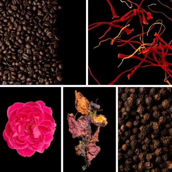 Duftnoten: Kaffee, Safran, Damaszenerrose, Patchouli, Pfeffer Duftnoten: Kaffee, Safran, Damaszenerrose, Patchouli, Pfeffer