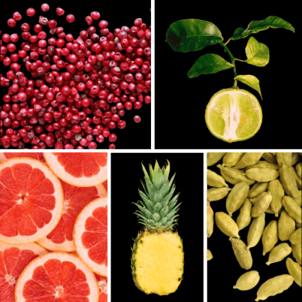 Duftnoten: rosa Pfeffer, Bergamotte, Grapefruit, Ananas, Kardamom