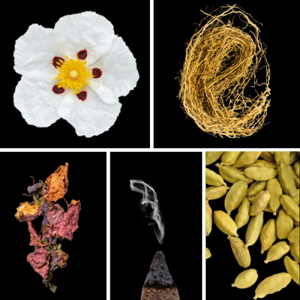 Duftnoten: Labdanum, Vetiver, Patchouli, Weihrauch, Kardamom