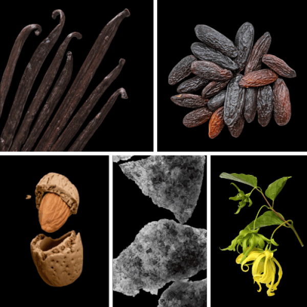 Duftnoten: Vanille, Tonkabohne, Bittermandel, Moschus, Yang-Ylang