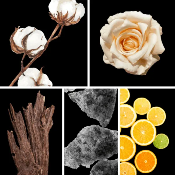 Duftnoten: Baumwollblüten, Rose, Oud, Moschus, Zitrusnoten