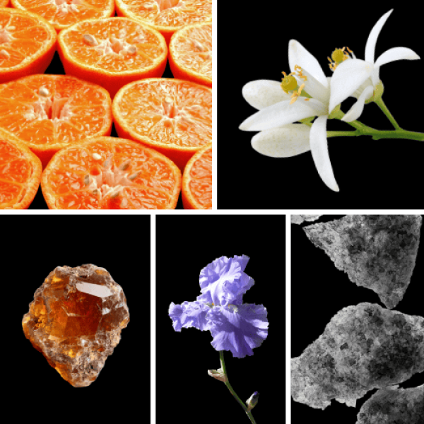 Duftnoten: Mandarine, Orangenblüte, Benzoeharz, Iris, Moschus