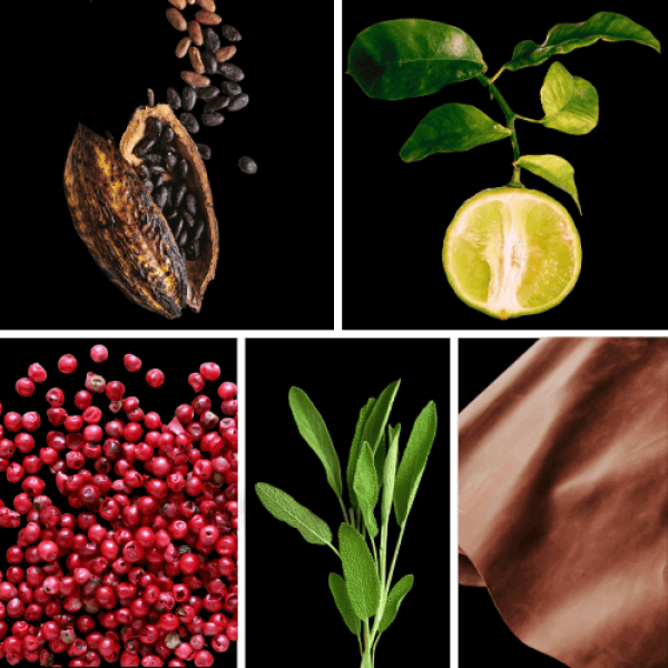 Duftnoten: Kakao, Bergamotte, rosa Pfeffer, Salbei, Leder