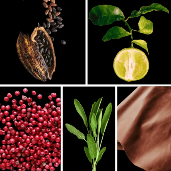 Duftnoten: Kakao, Bergamotte, rosa Pfeffer, Salbei, Leder Duftnoten: Kakao, Bergamotte, rosa Pfeffer, Salbei, Leder
