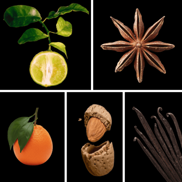 Duftnoten: Bergamotte, Orange, Sternanis, Mandel, Vanille
