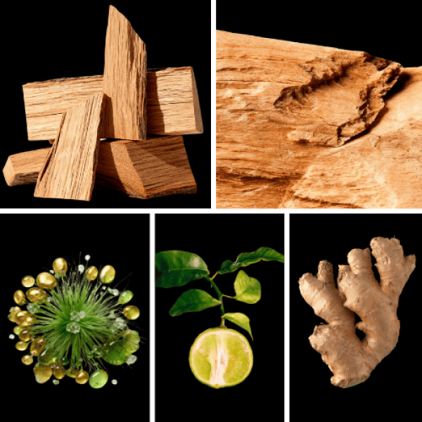 Duftnoten: Zedernholz, Sandelholz, Galbanumharz, Bergamotte, Ingwer