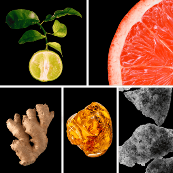 Duftnoten: Bergamotte, Grapefruit, Ingwer, Amber, Moschus