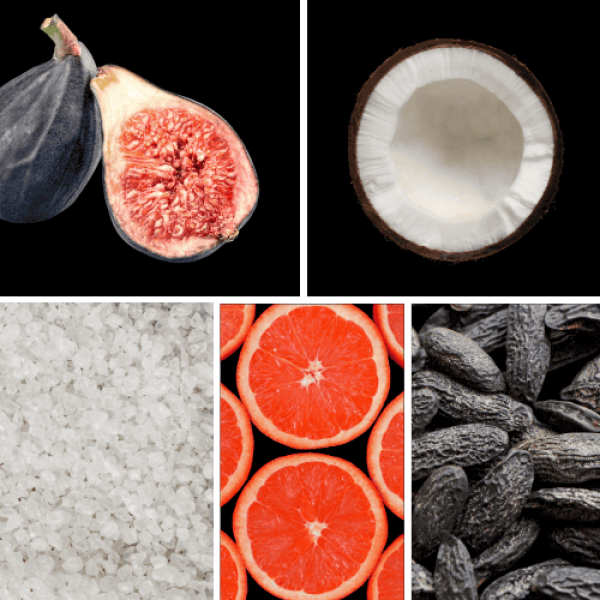 Duftnoten. Feige, Kokosnuss, salzige Akkorde, Grapefruit, Tonkabohne