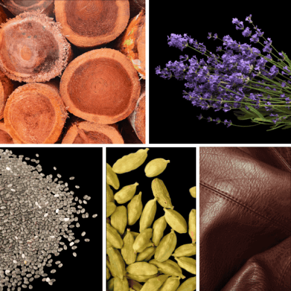Duftnoten: Zedernholz, Lavendel, Ambrettesamen, Kardamom, Leder