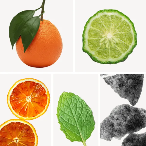 Duftnoten: Mandarine, Bergamotte, Blutorange,Minze, Moschus Duftnoten: Mandarine, Bergamotte, Blutorange,Minze, Moschus