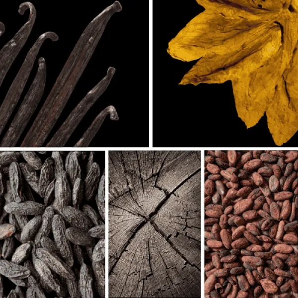 Duftnoten: Vanille, Tabak, Tonkabohne, holzige- Noten, Kakao