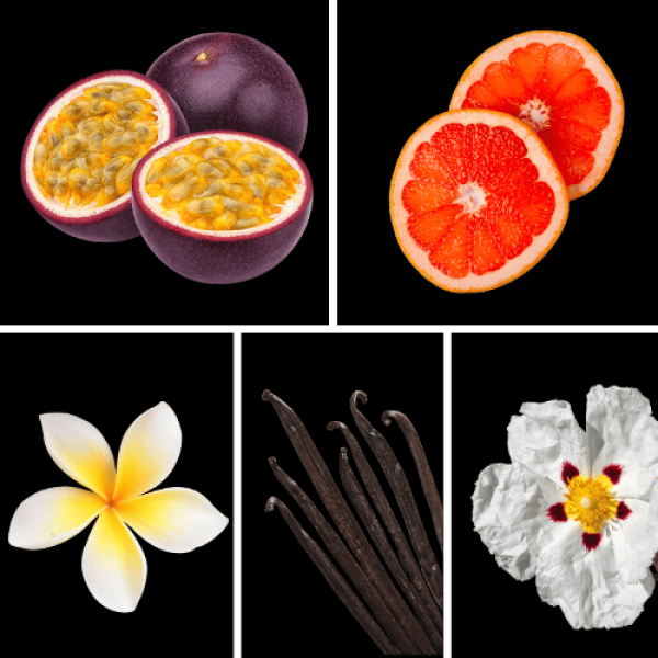 Duftnoten: Passionsfrucht, Bitterorange, Frangipani, Vanille-Absolu, Zistrose
