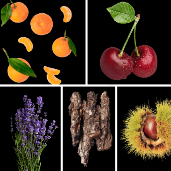 Duftnoten: Mandarine, Kische, Lavendel, Amberholz, Kastanie