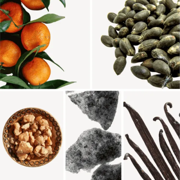 Duftnoten: Mandarine, Ambette, Benzoe, Moschus, Vanille Duftnoten: Mandarine, Ambette, Benzoe, Moschus, Vanille