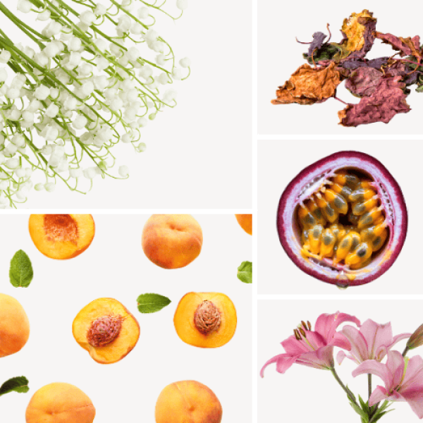 Duftnoten: Maiglöckchen, Pfirsich, Passionsfrucht, Lilie, Patschuli