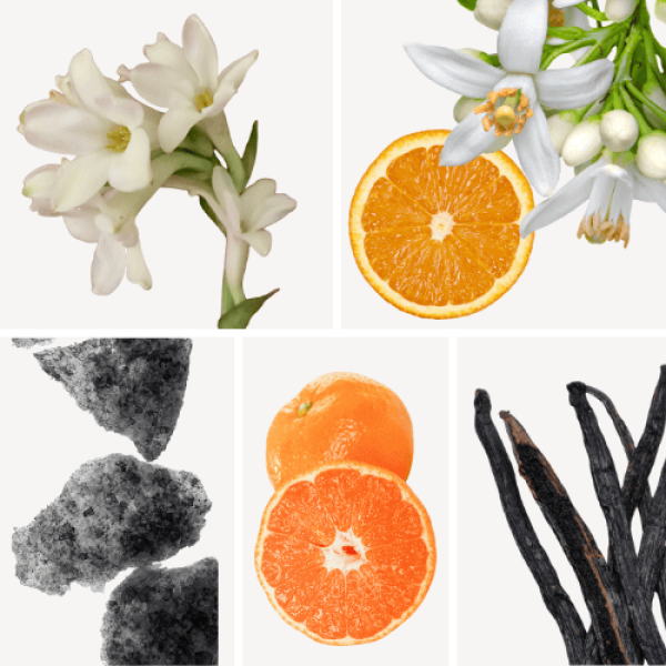 Duftnoten: Tuberose, Orangenblüten, Moschus, Mandarine, Vanille